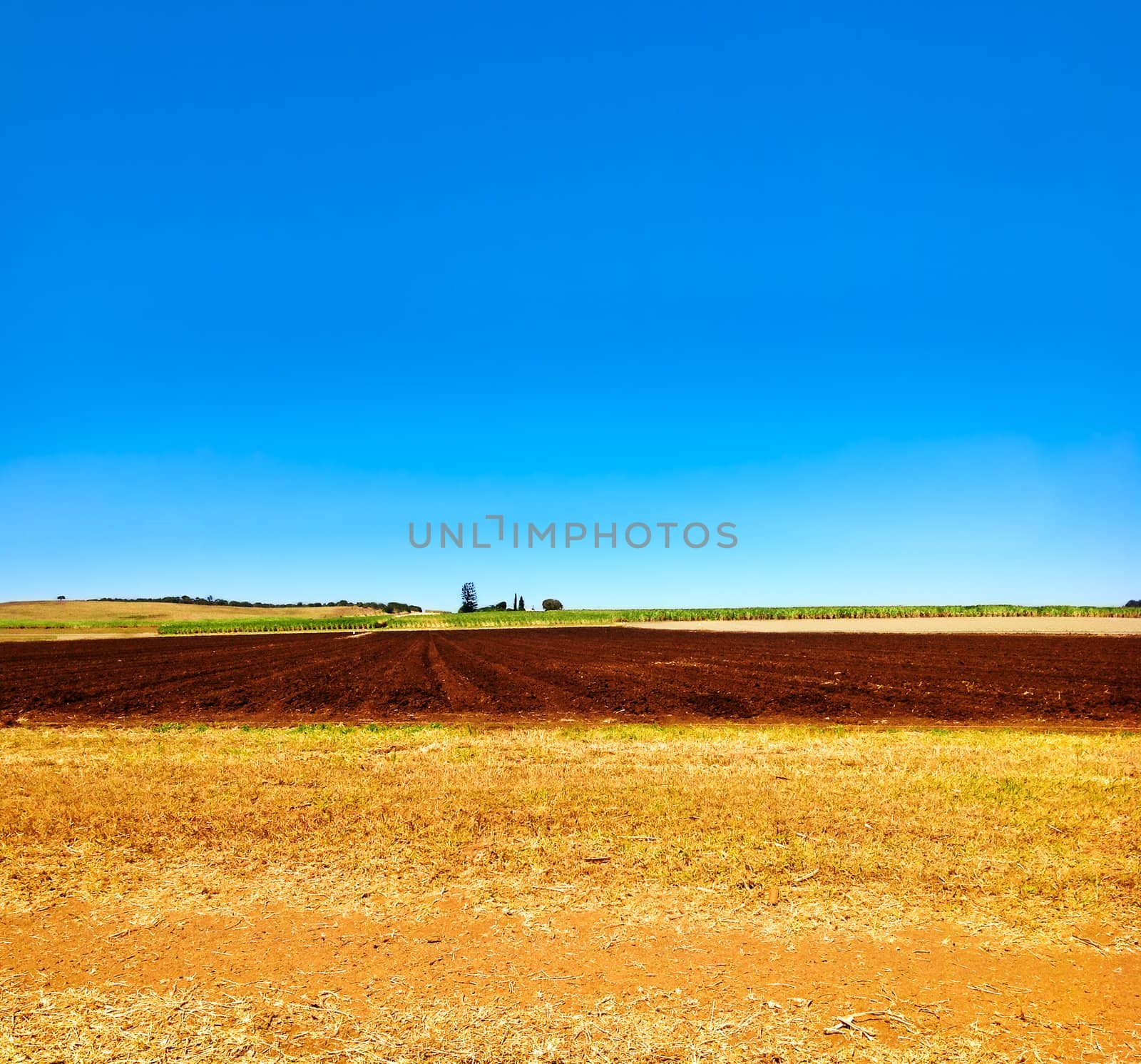 Cultivated ploughed field in farm agriculture area by sherj