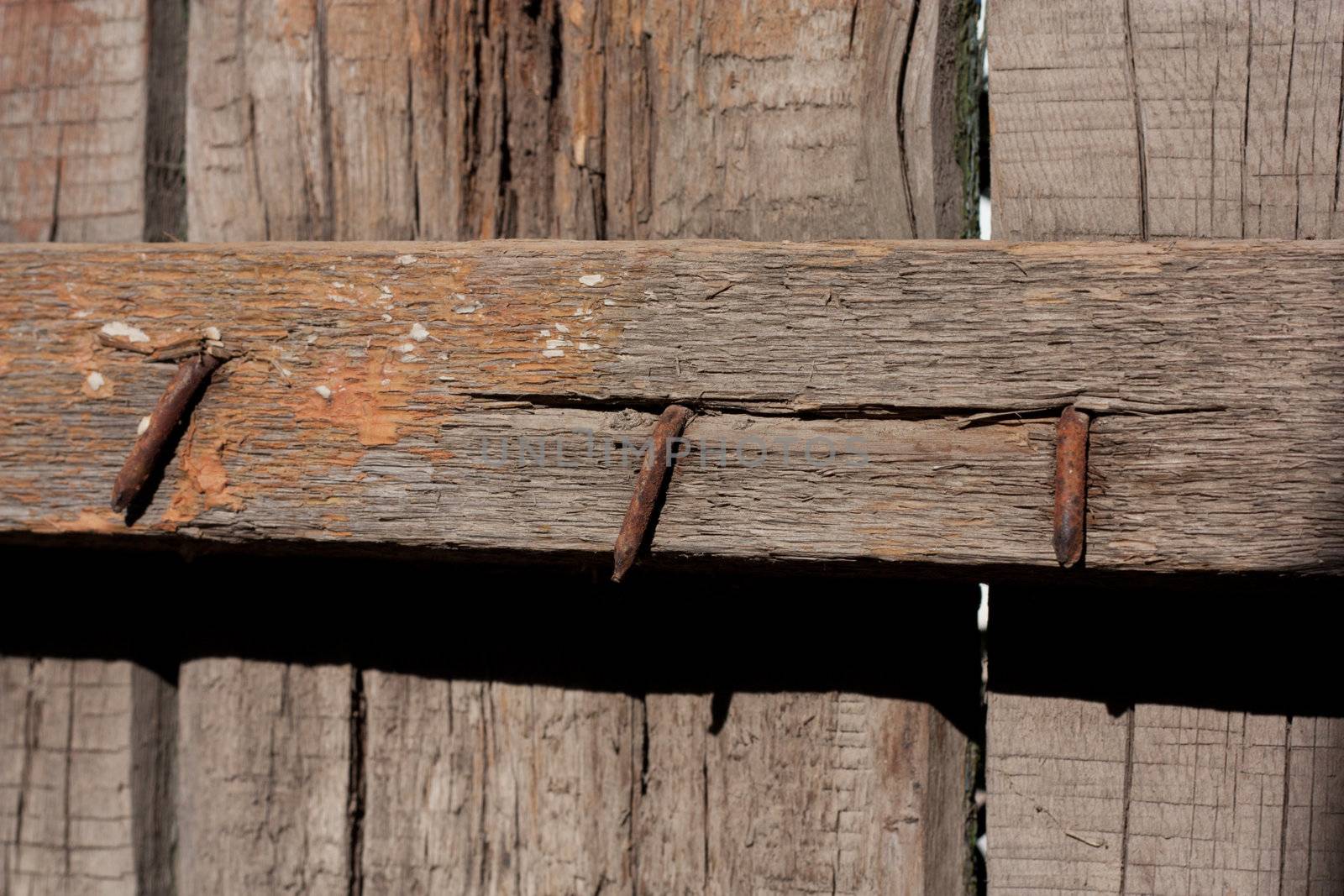 rusty nails in wood 