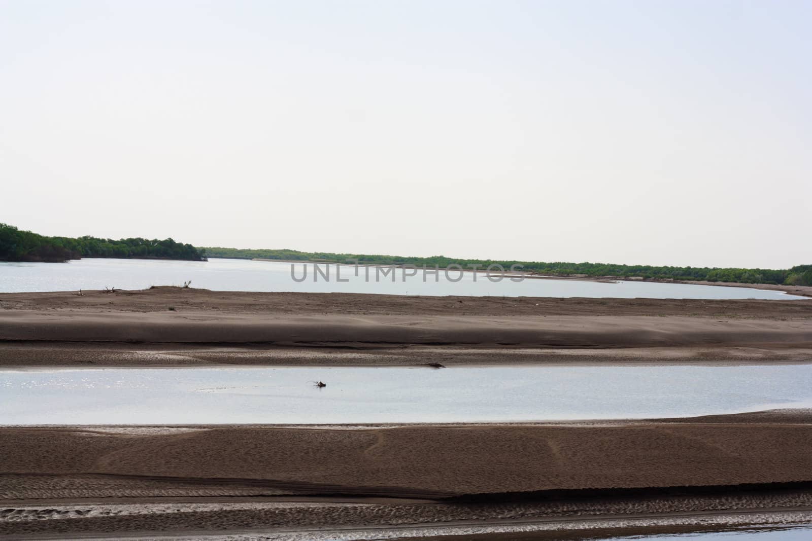 Riverside grass blowing on Syr Darya river, Kazakhstan  by schankz