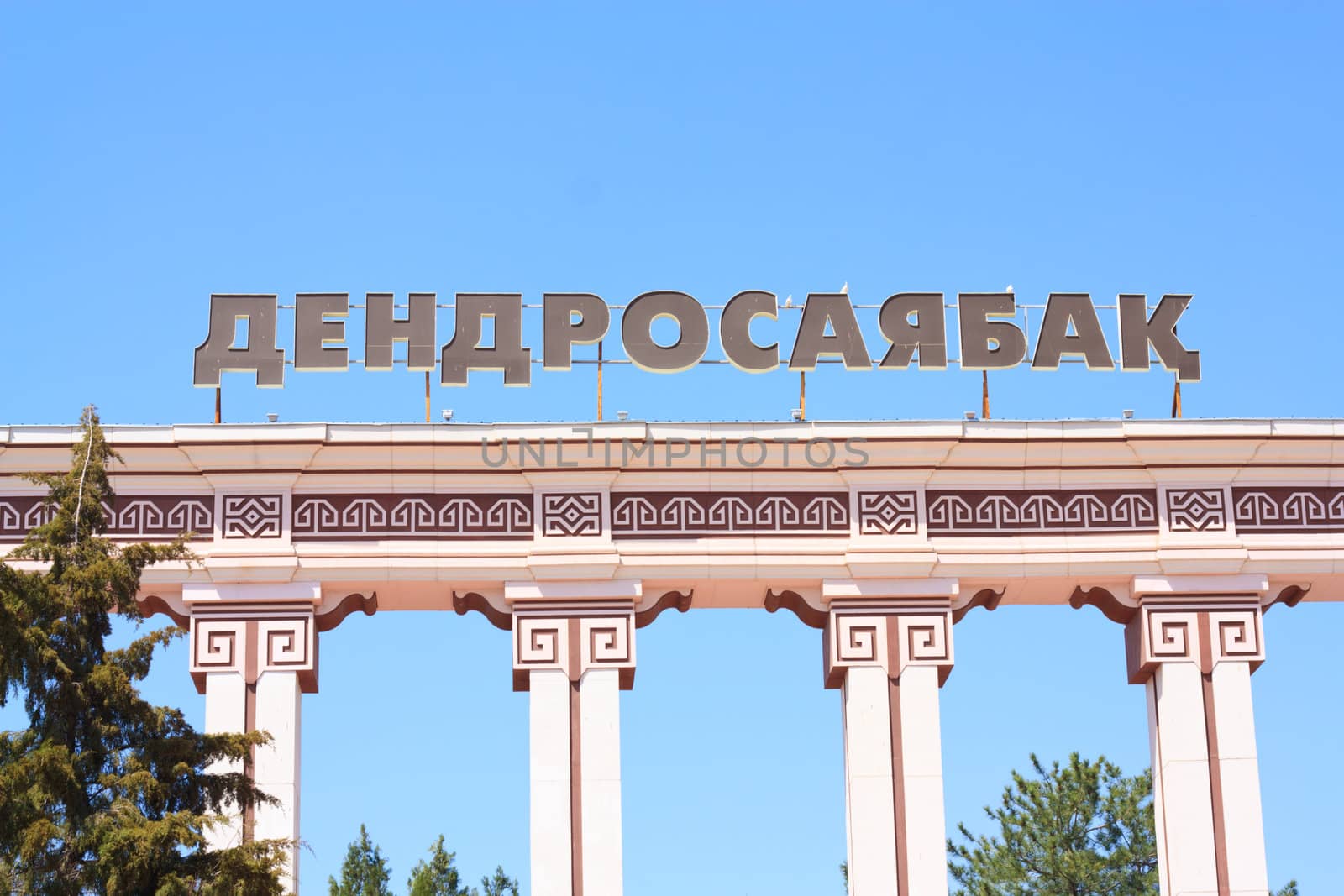 arboretum. city ​​of Shymkent. Kazakhstan