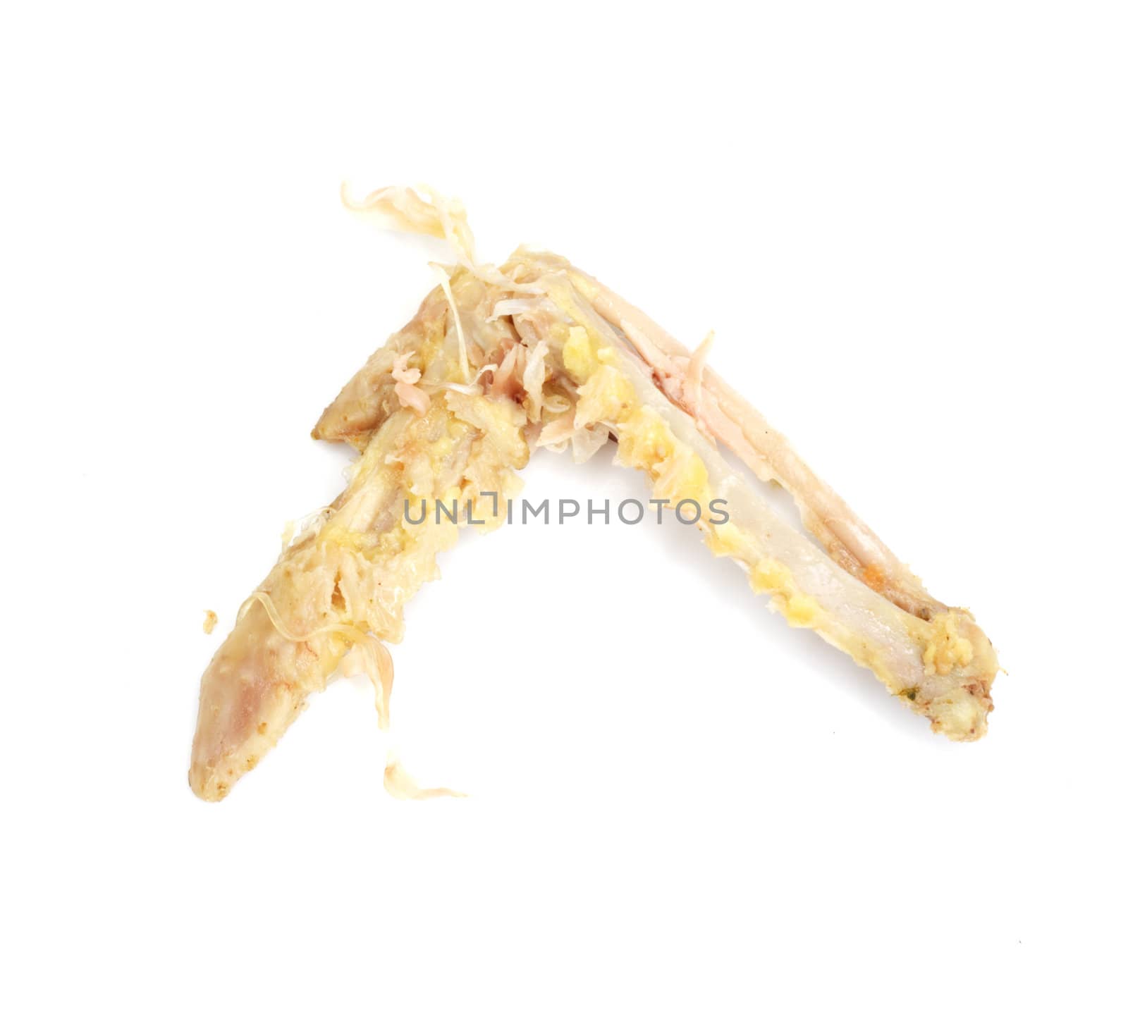 bone of the chicken