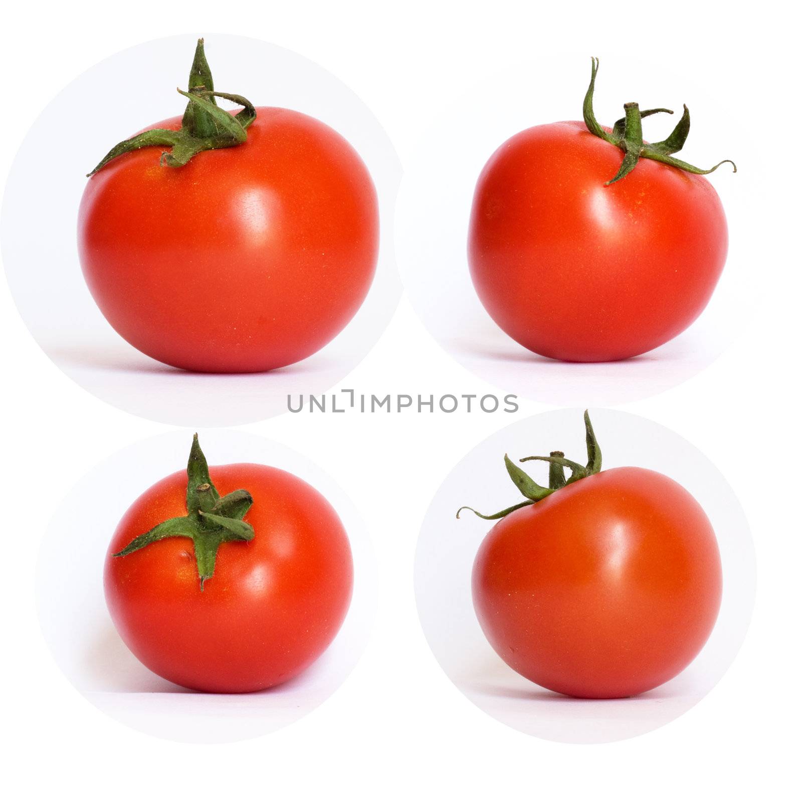 red tomato on white background  by schankz