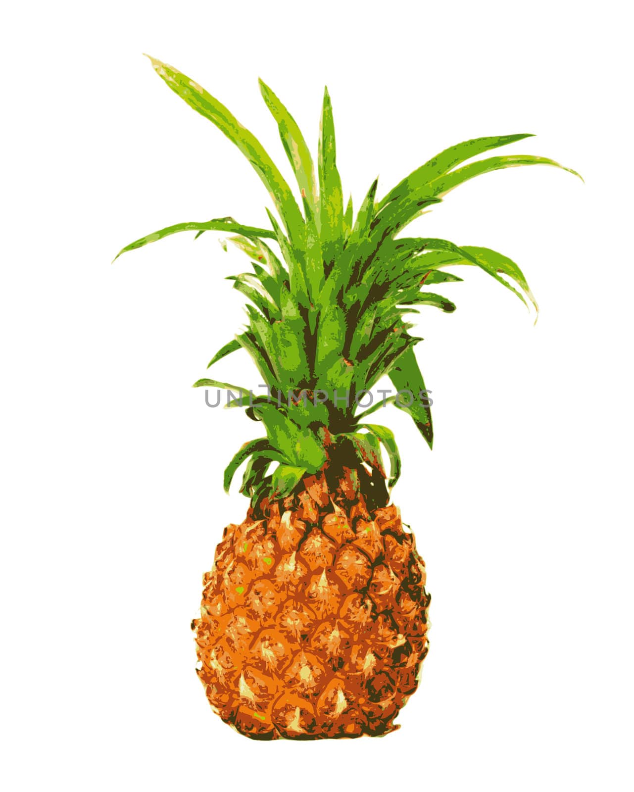 Pineapple on a white background  by schankz