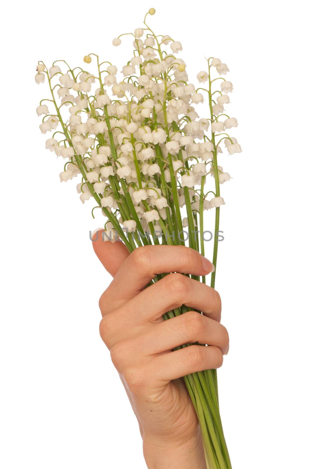 Woman holding lily of the valley in the hand