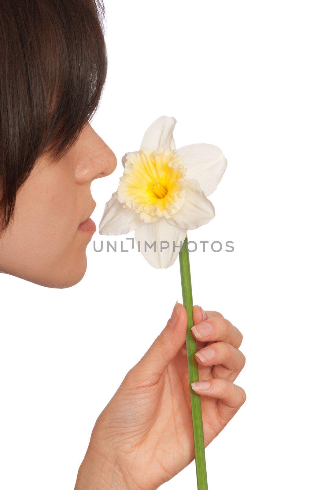 woman holding white narcissus in the hand