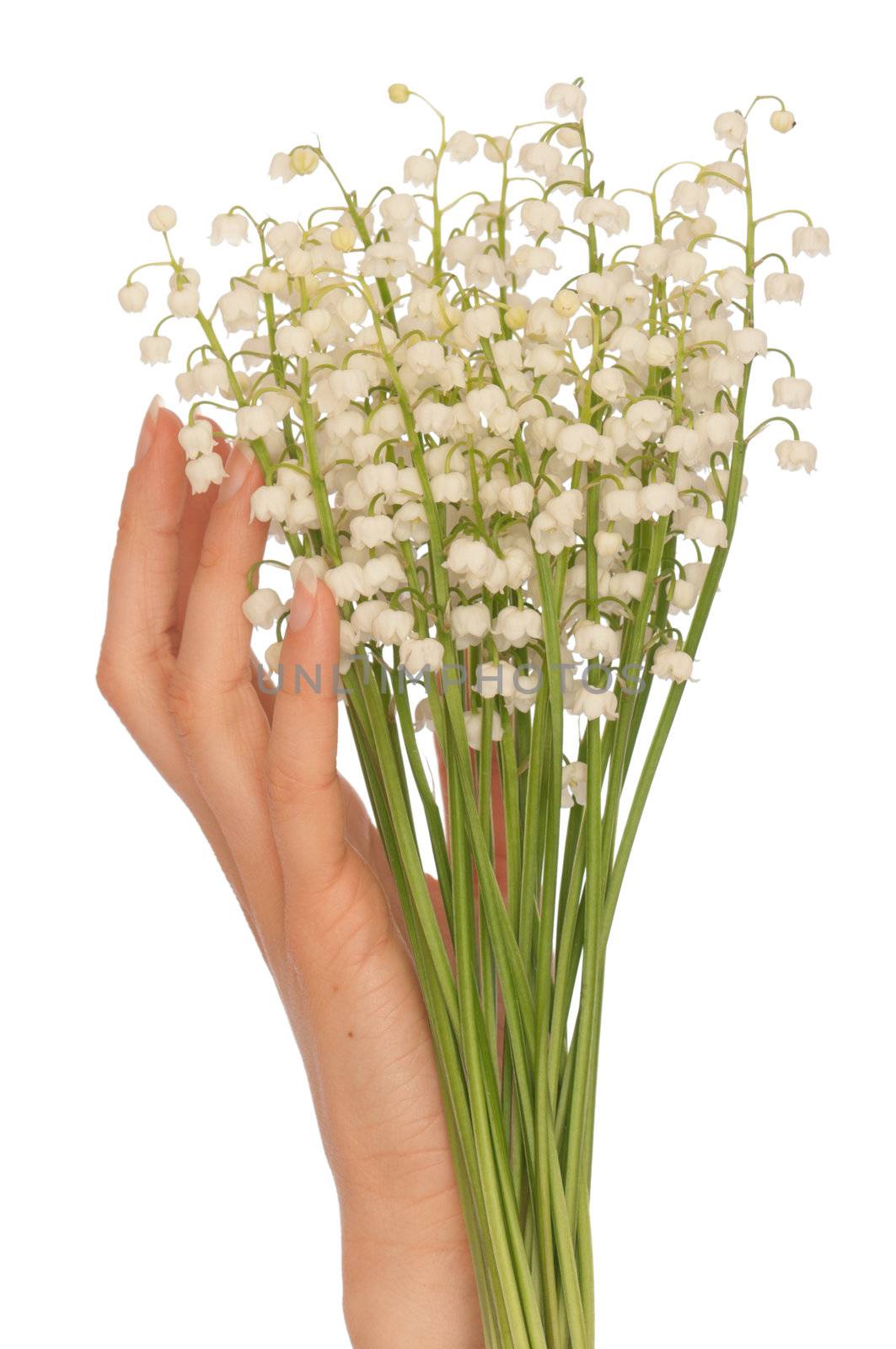 Woman holding lily of the valley in the hand