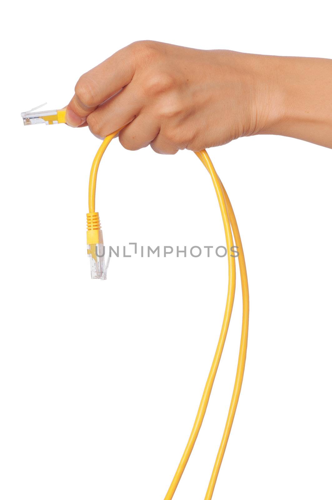 woman holding LAN cords in the hand