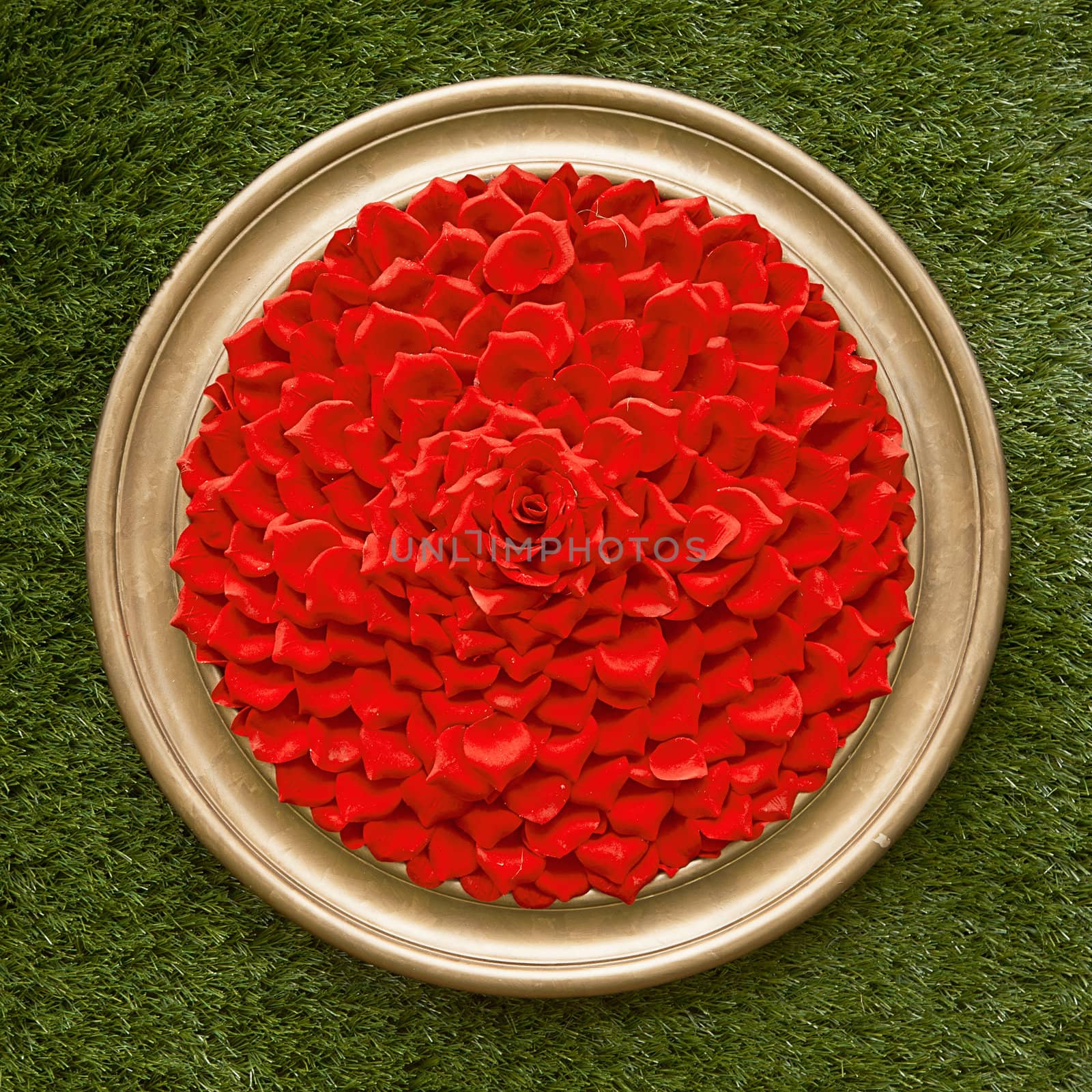  Classic round frame on green grass full of red petals