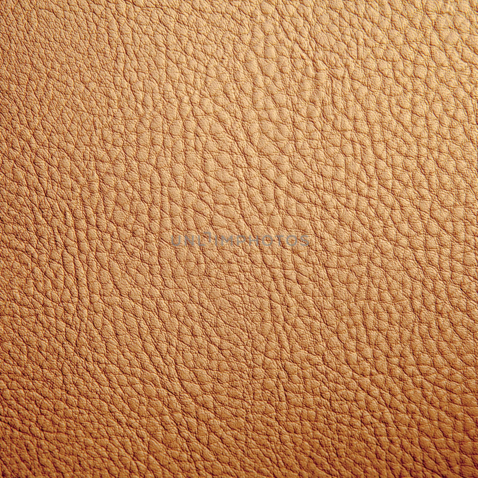 Tan leather texture background. Close-up photo