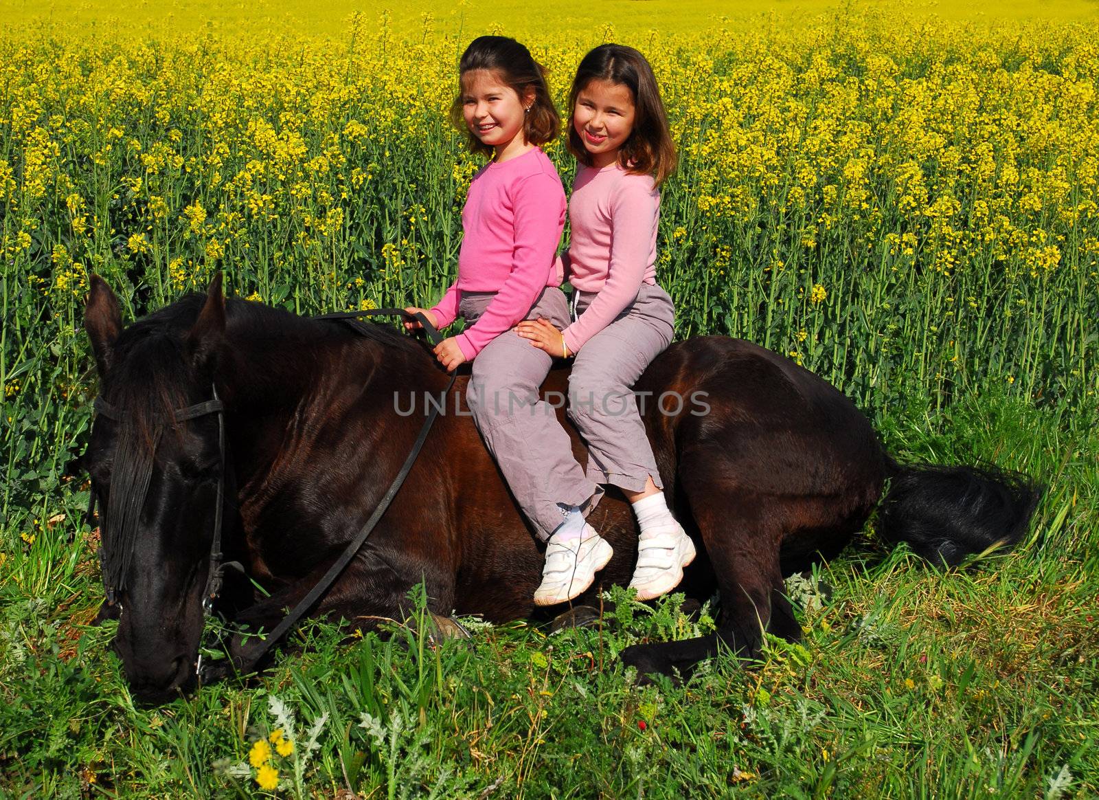 twins sister and black stallion laid down in a field