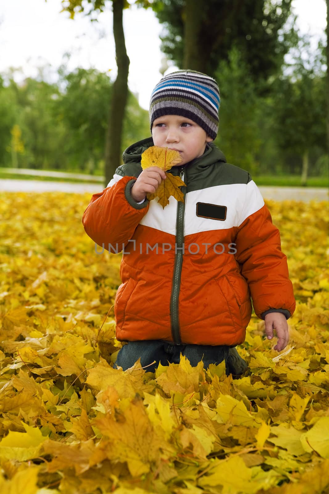 baby boy and yellow autumn foliage by Serp