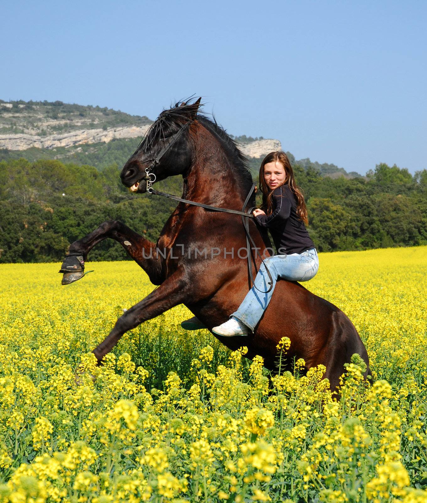 young woman and her beautiful black stallion rearing up