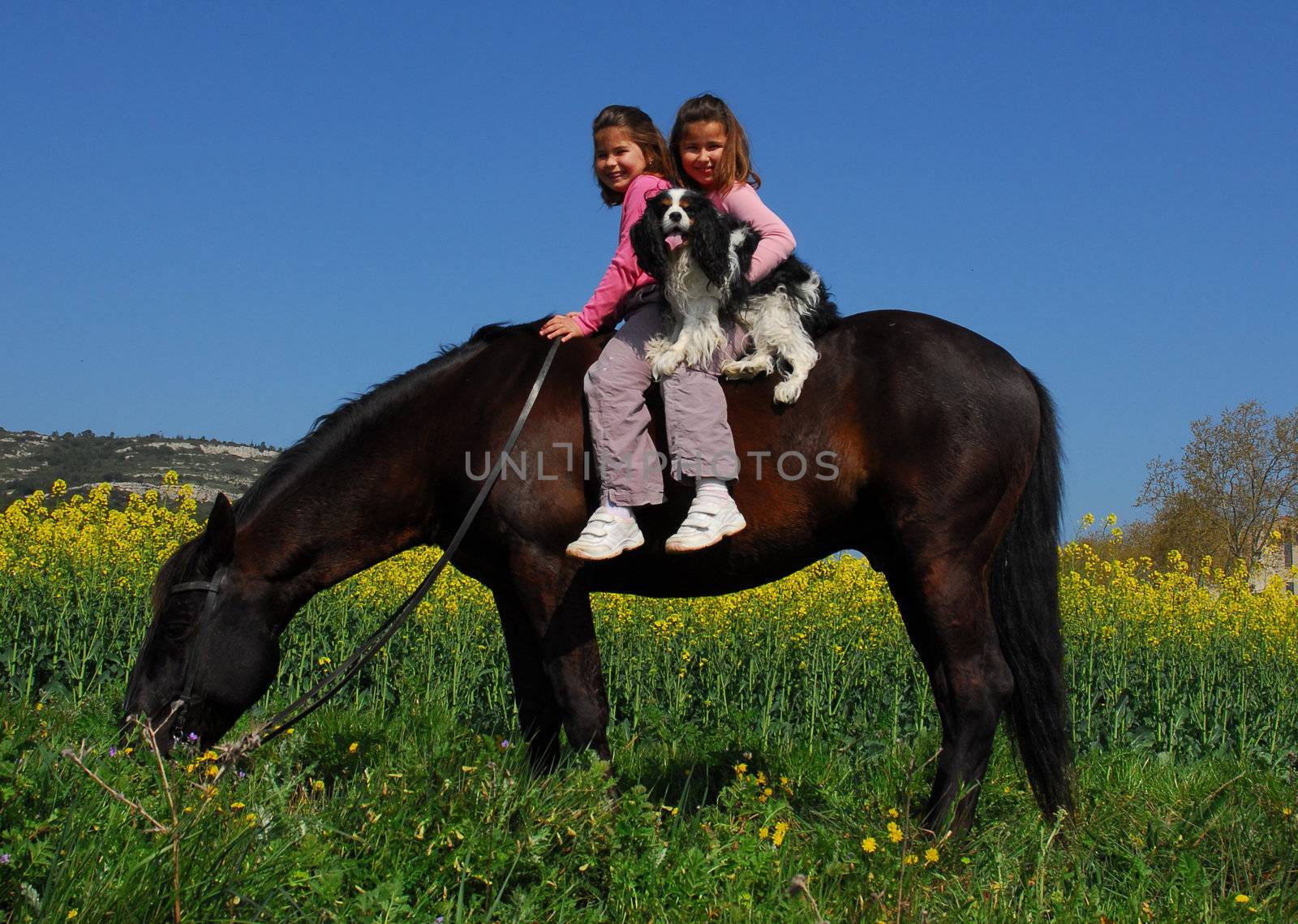 twins sisters horseback riding a black stallion