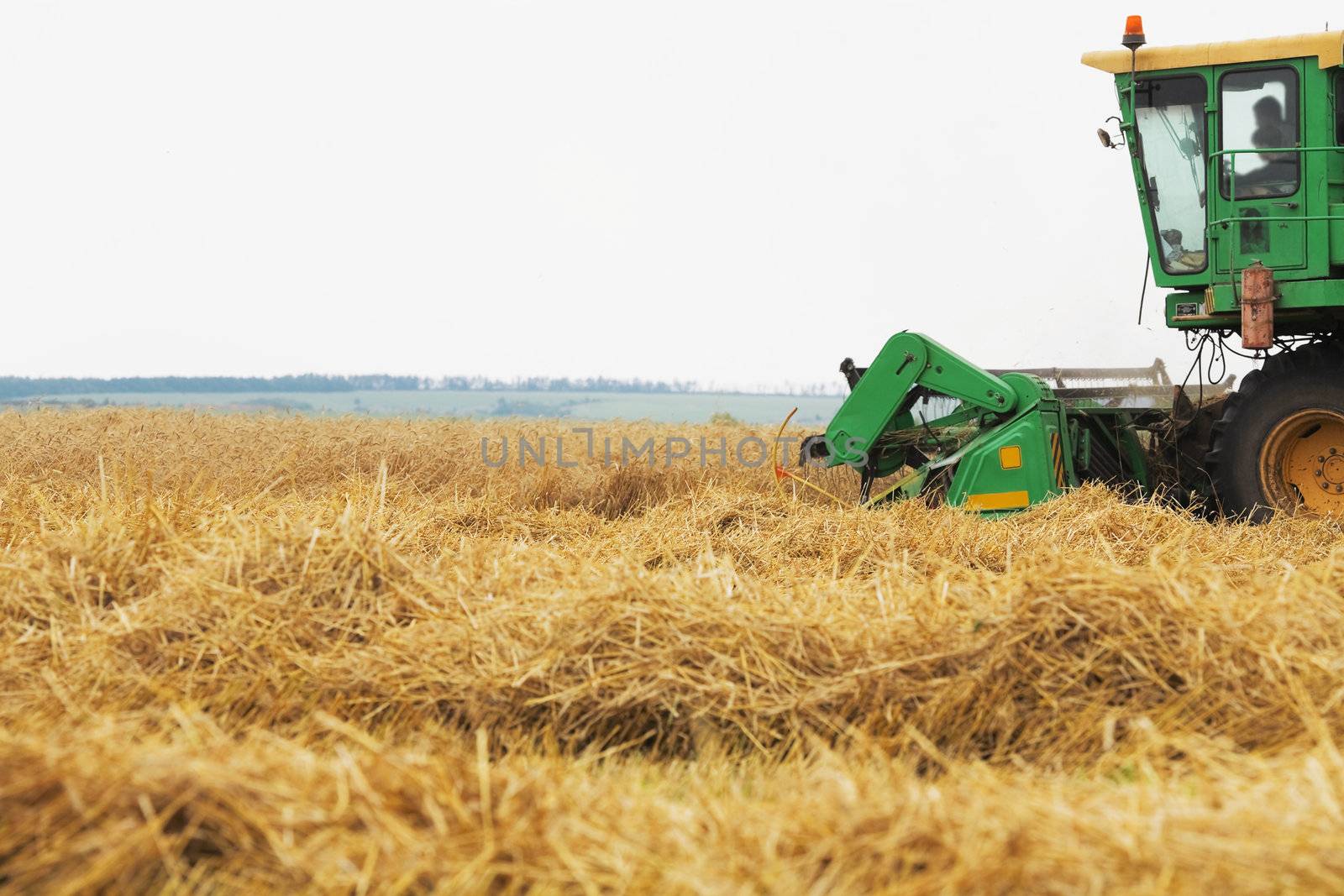 Combine harvester on field of wheat in the early autumn