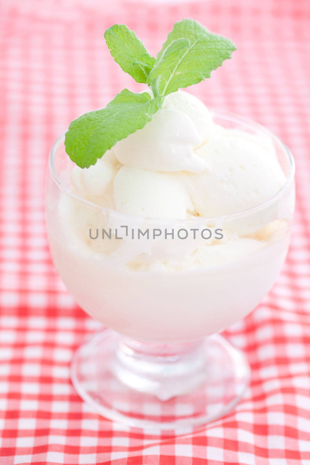 ice cream with mint in a glass bowl on plaid fabric by jannyjus