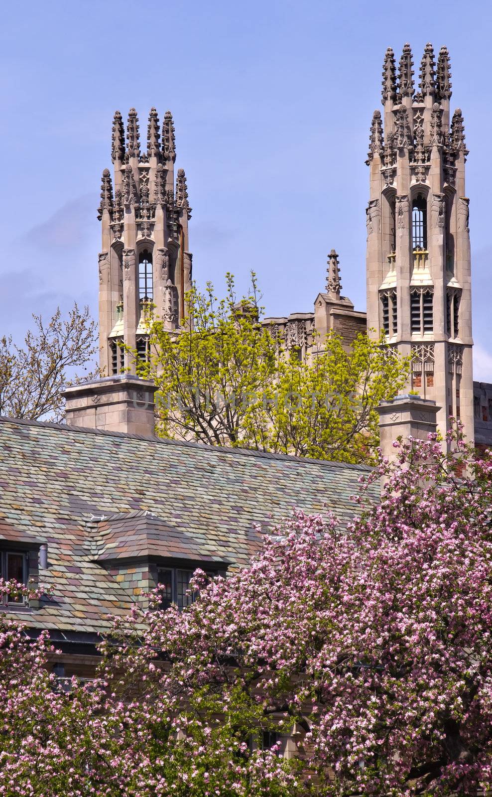 Yale University Sterling Law Building Ornate Victorian Towers New Haven Connecticut