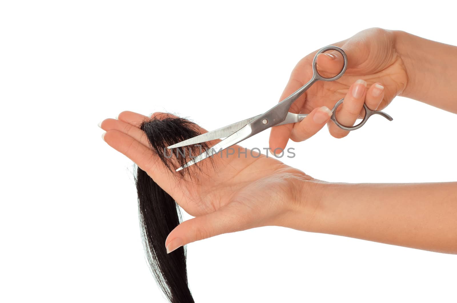 hairdresser cutting young woman with long black hair