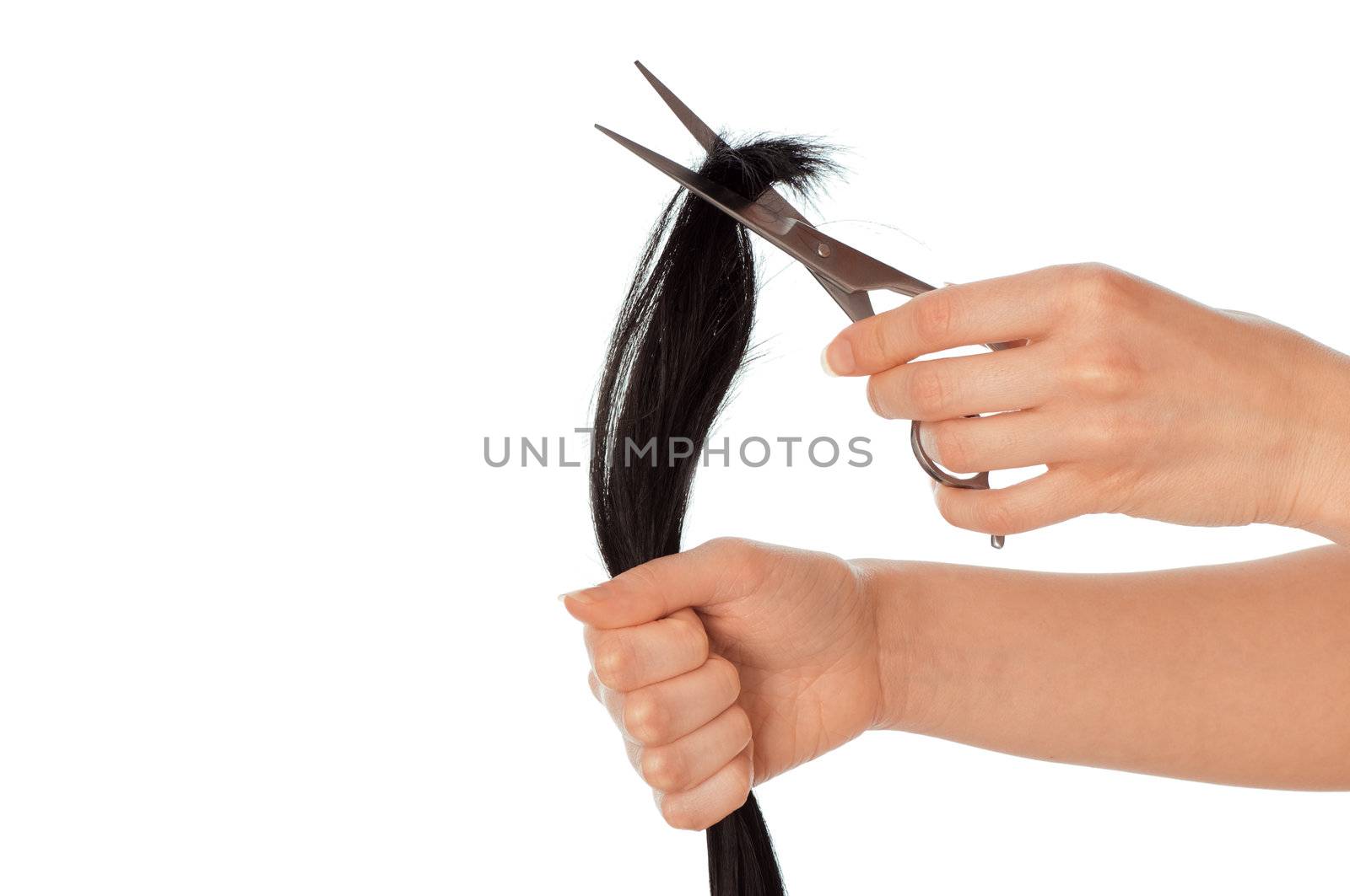 hairdresser cutting young woman with long black hair
