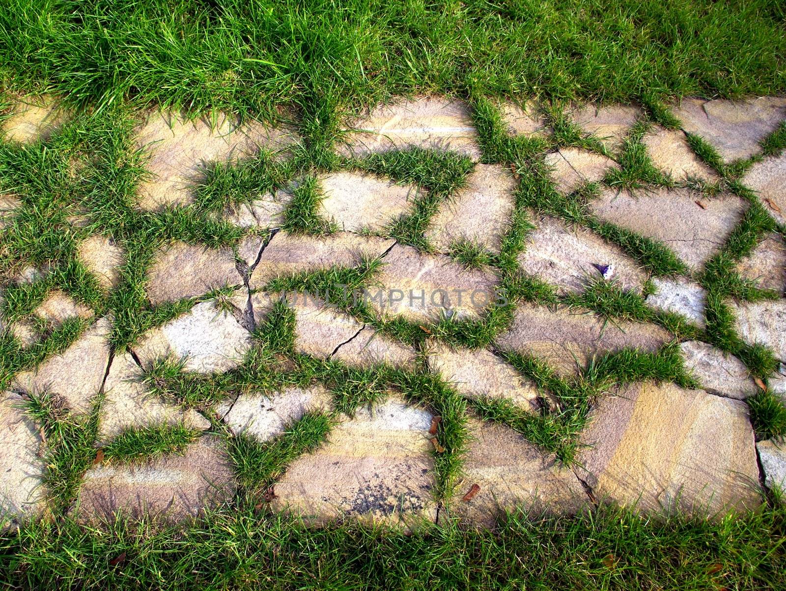 A path is laid out from a stone