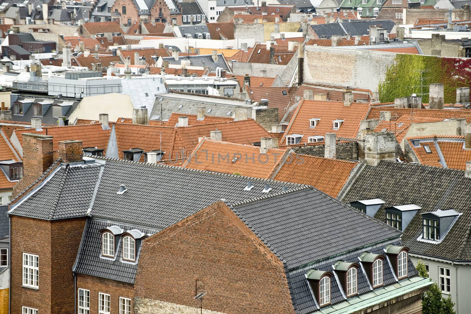 Copenhagen roofs by Alenmax