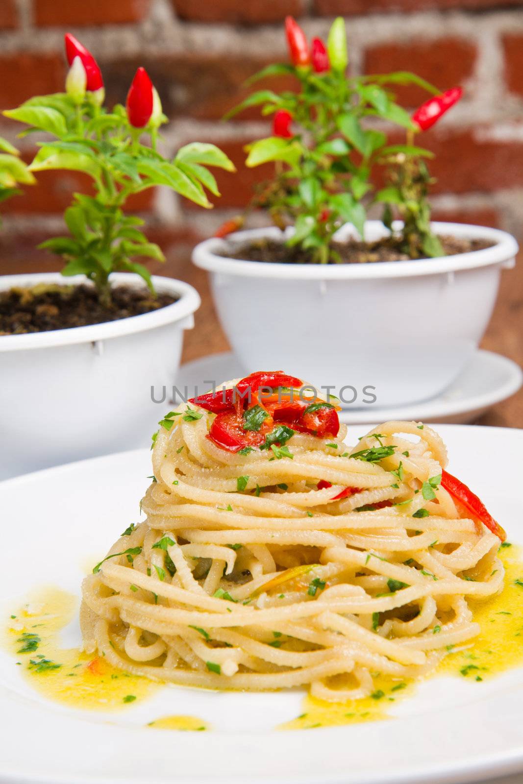 spaghetti with garlic, oil and chilli by lsantilli