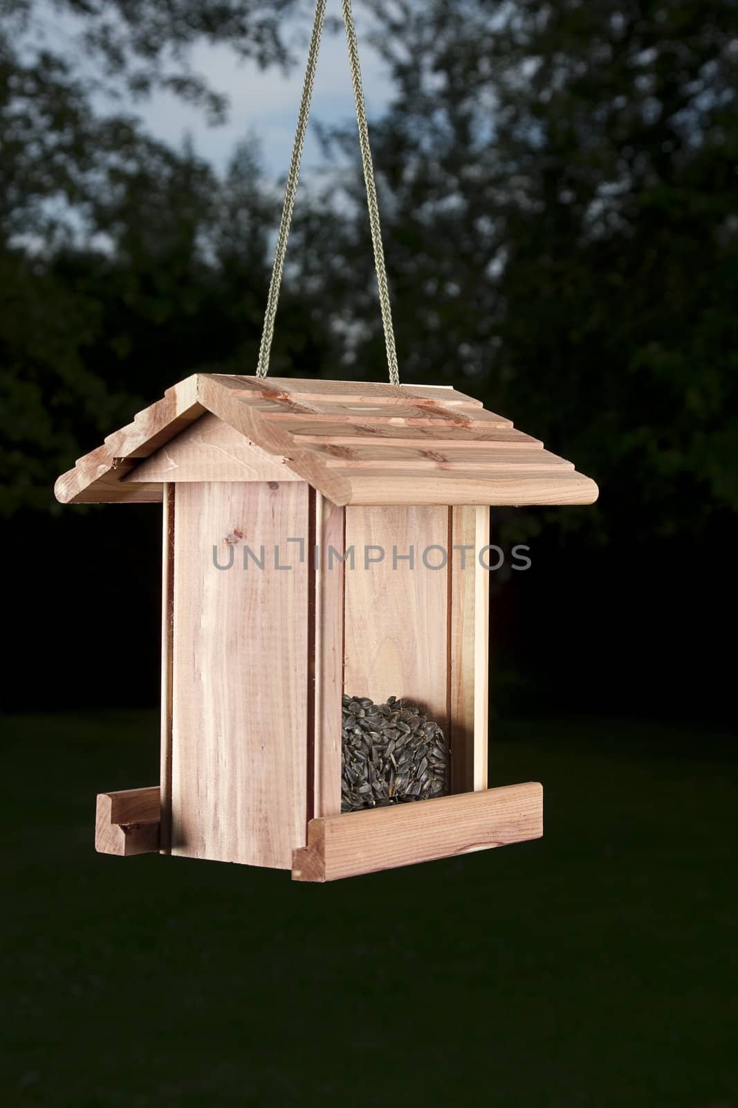 wood bird feeder against a wooden area background