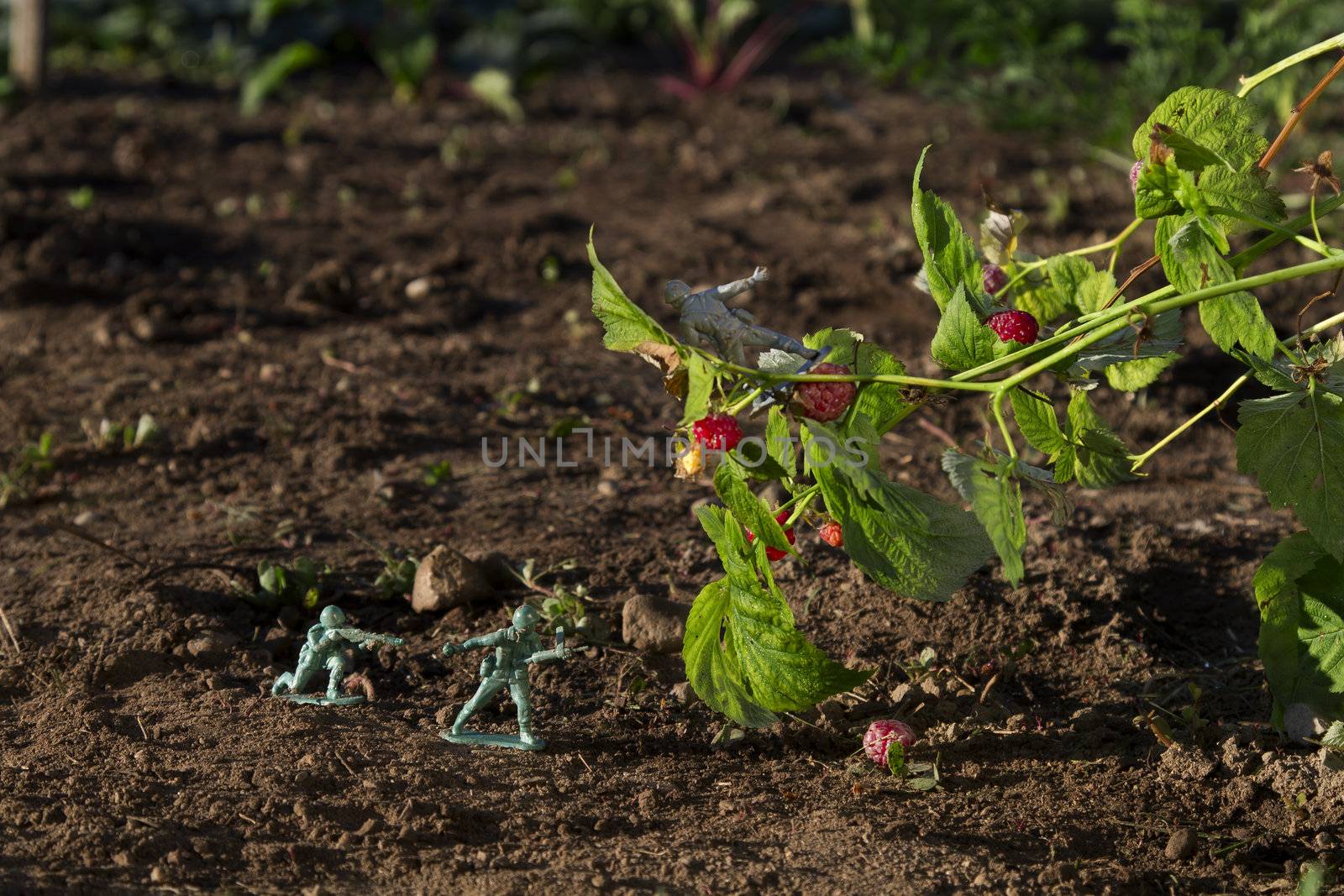 two green toy soldier fighting with a gray soldier for raspberry