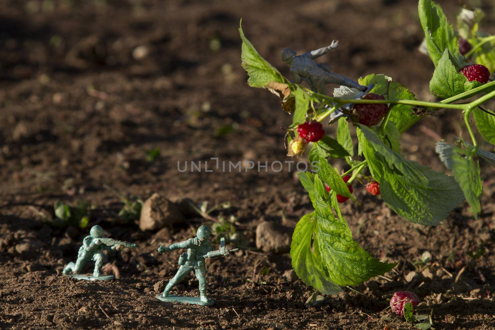 two green toy soldier fighting with a gray soldier for raspberry