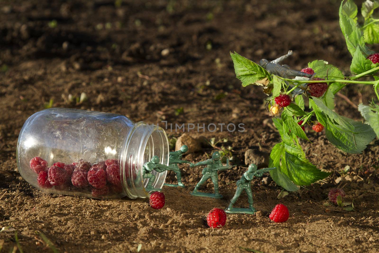 four green toy soldier protecting a jar of raspberry against a gray soldier