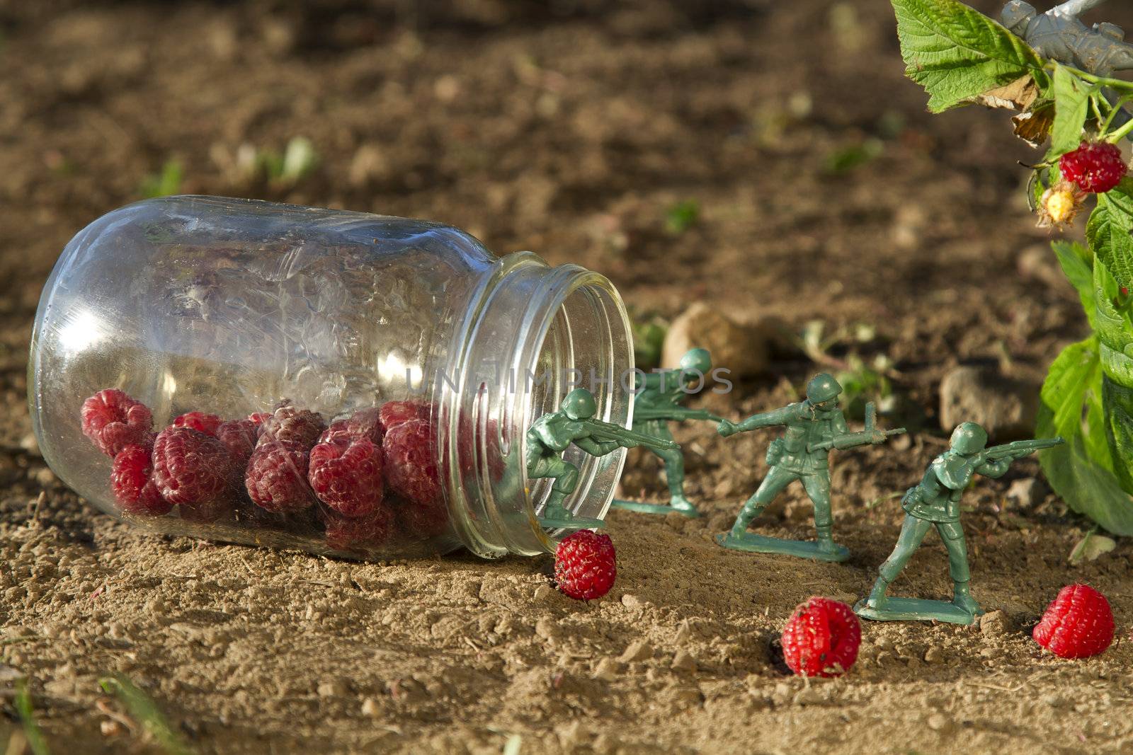 four green toy soldier protecting a jar of raspberry against a gray soldier