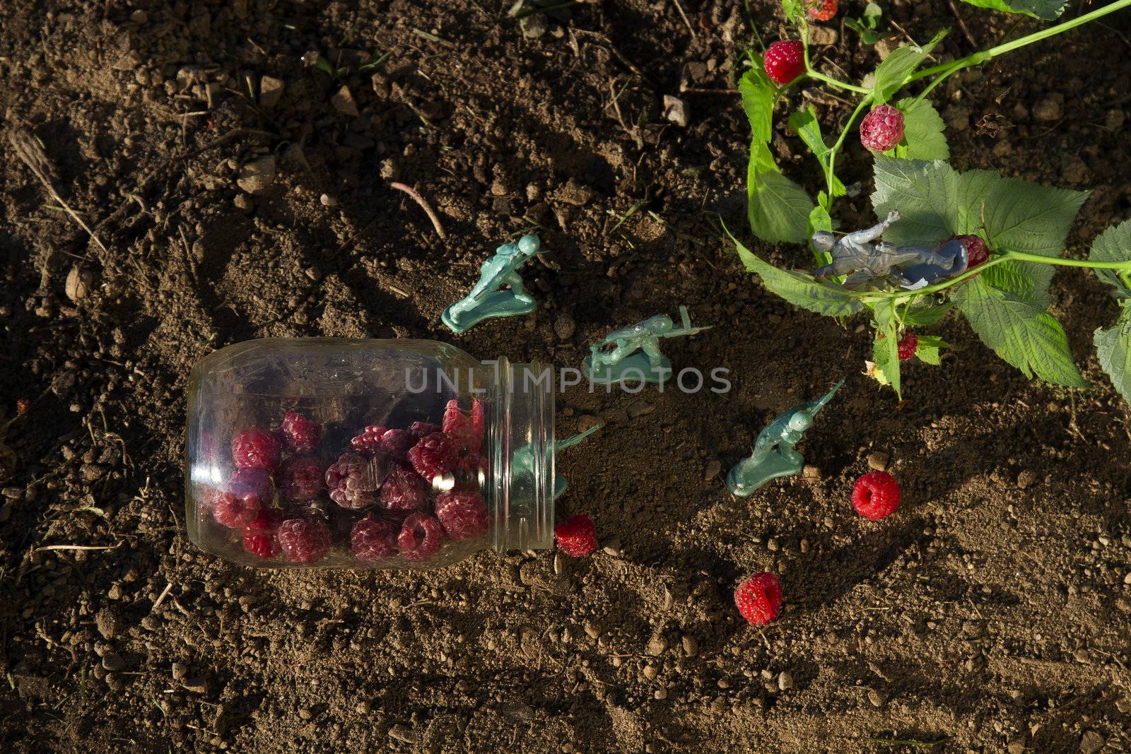 aerial view of four green toy soldier protecting a jar of raspberry against a gray soldier