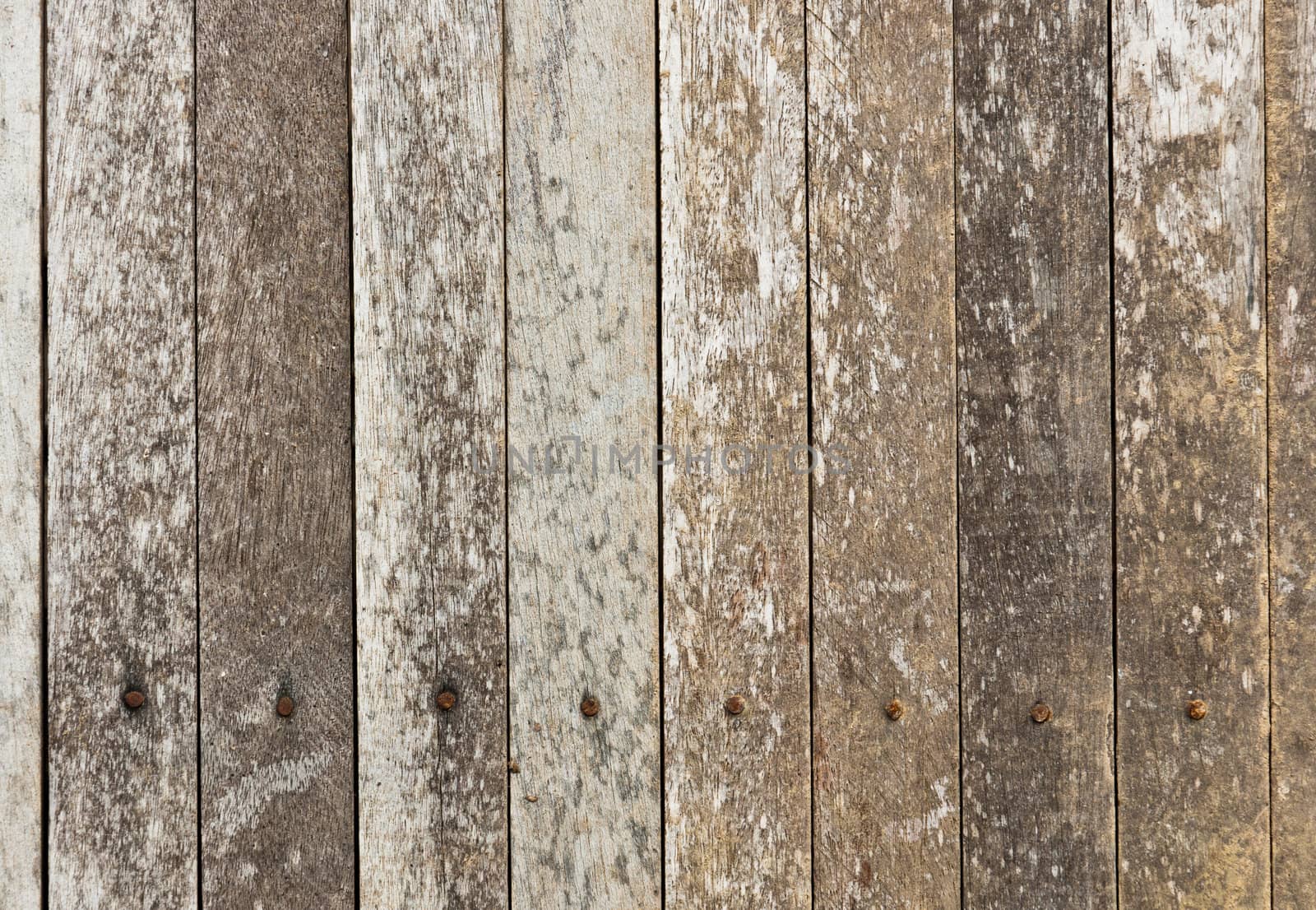 Grunge of pattern wood background