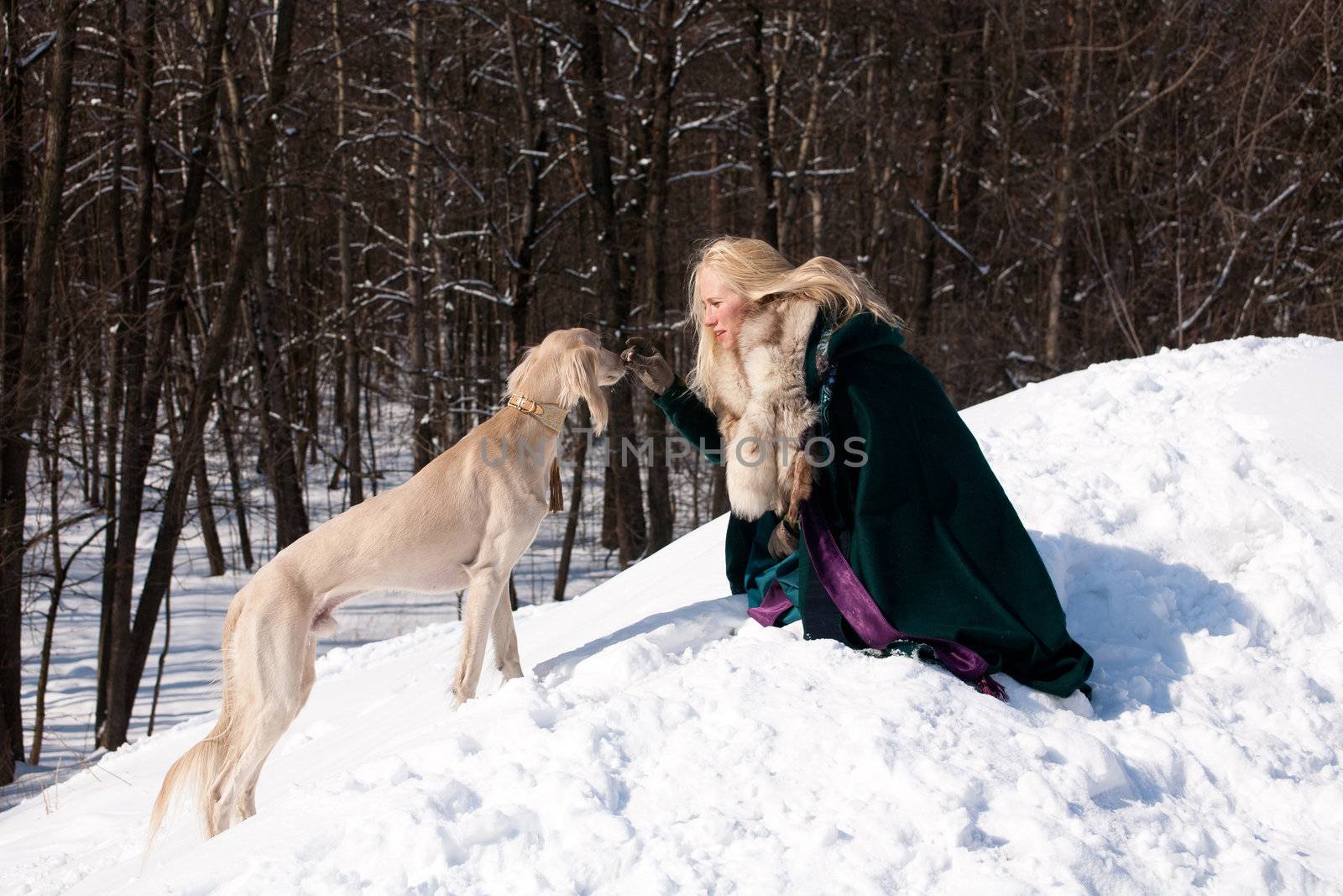 A blonde girl and a standing white saluki on snow
