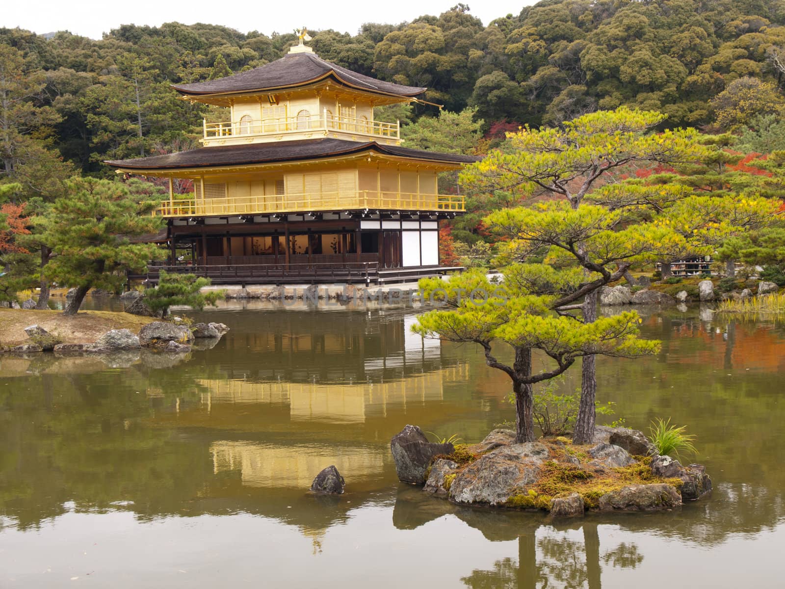 Kinkakuji Temple or The Golden Pavilion temple in autumn, Kyoto, Japan