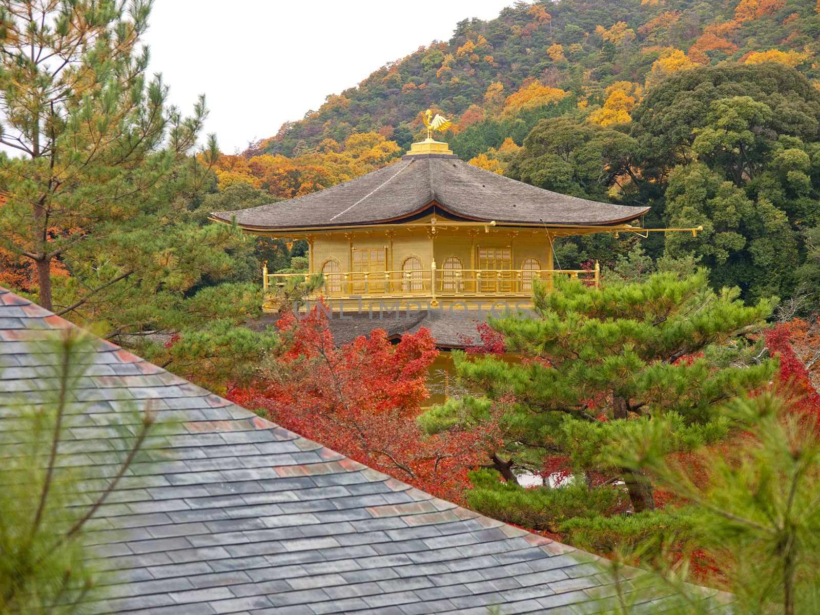 The roof of Kyoto Golden pavillion temple (Kinkakuji temple) in different view