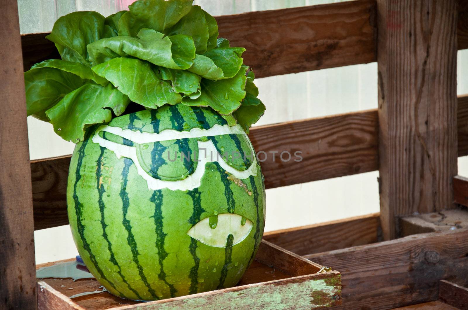 art on watermelon