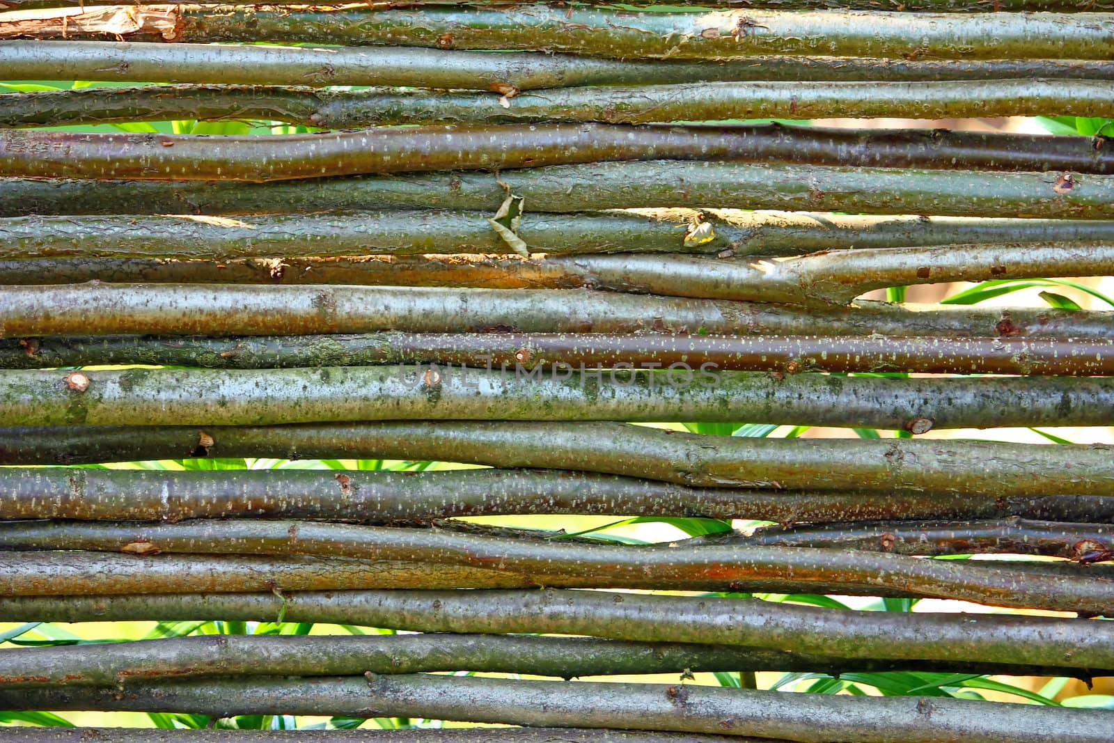 Wooden fence made from branches, natural