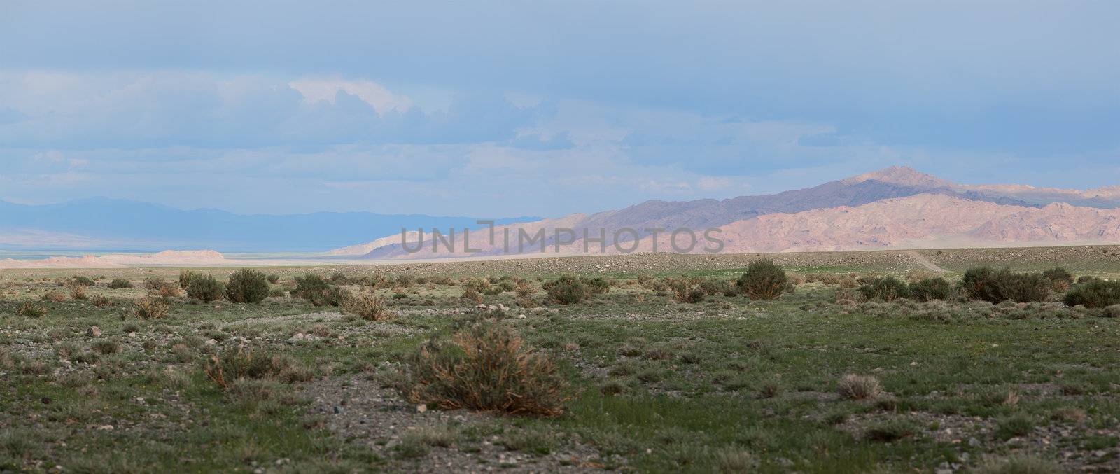 Altai mountains. Beautiful highland landscape. Mongolia