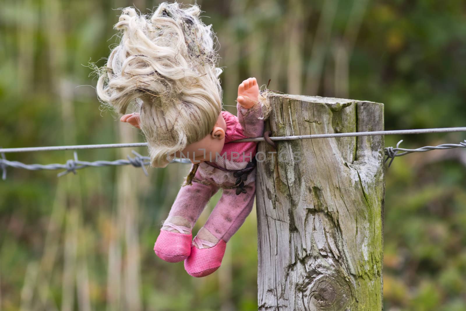 A childs lost doll caught up on a fence