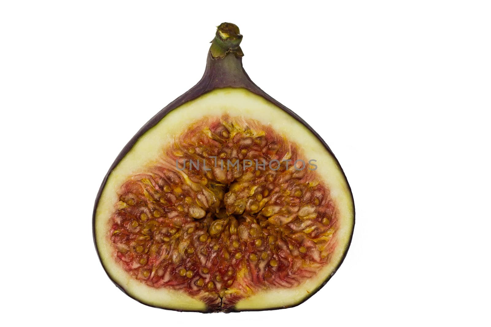 A  close up of a single juicy ripe fresh fig