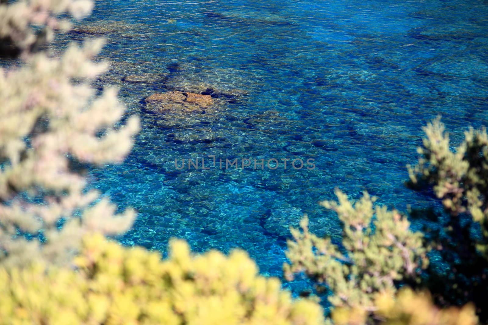 Crystal clear waters at Anthony Quinn Bay in Greece in soft focus through plant life