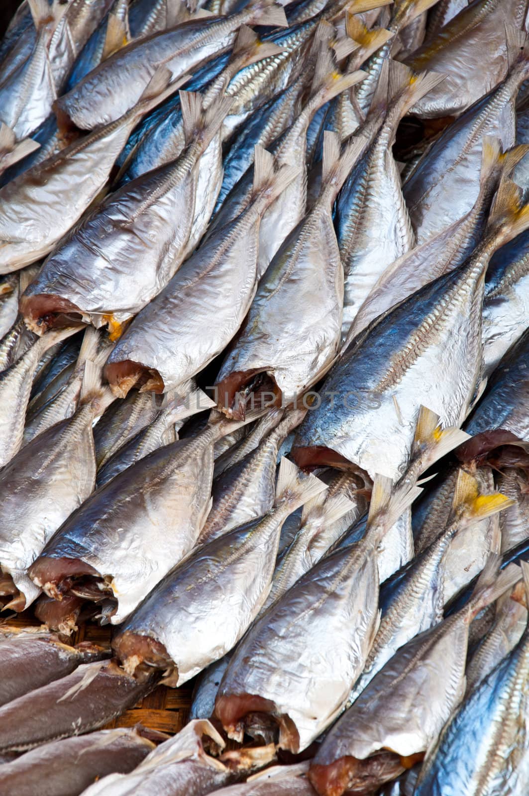 dried fish for sale