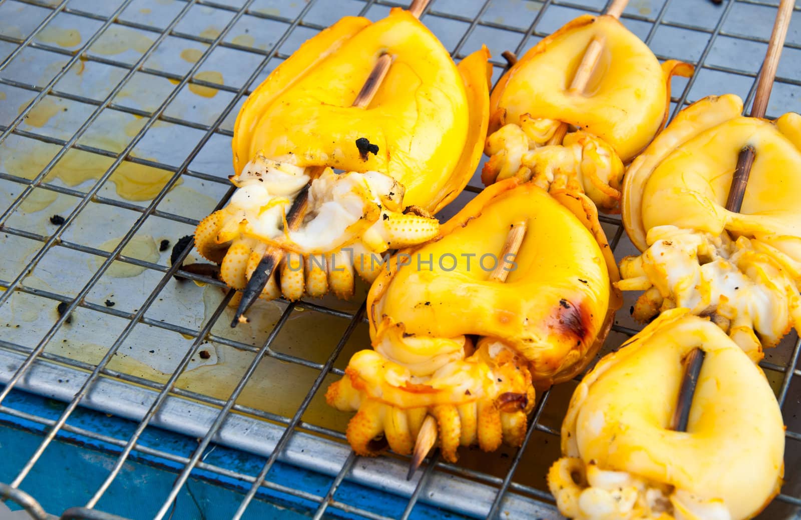 drilled squid