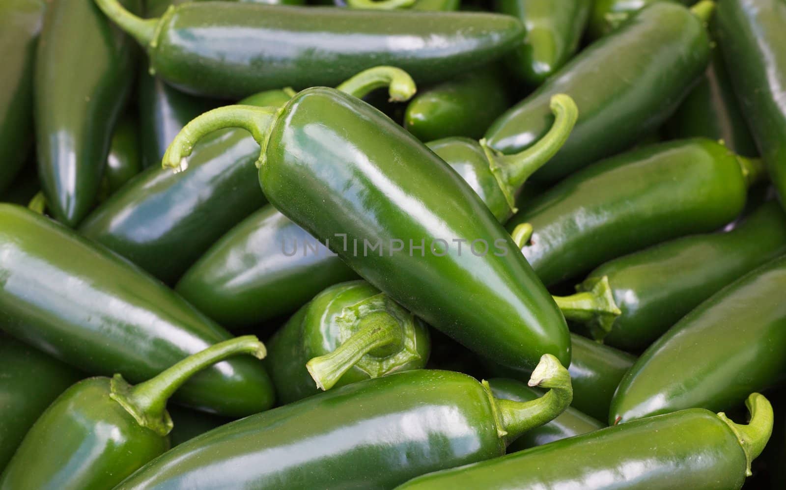 Pile of bright green jalapeno hot peppers at the farmers market