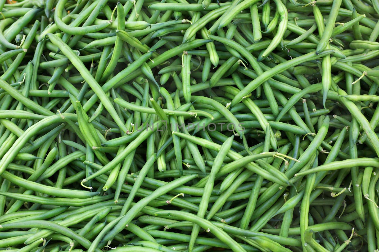 Big pile of green string beans at the farmers market