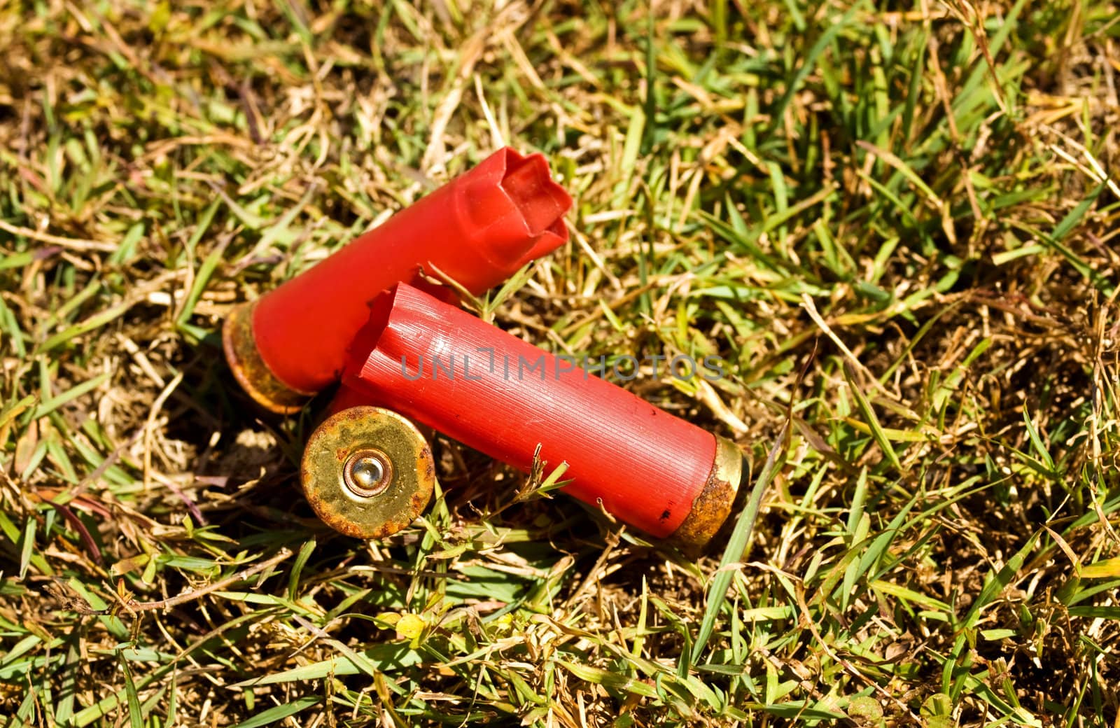 Used fired shells empty red shot gun  bullet cartridges by sherj