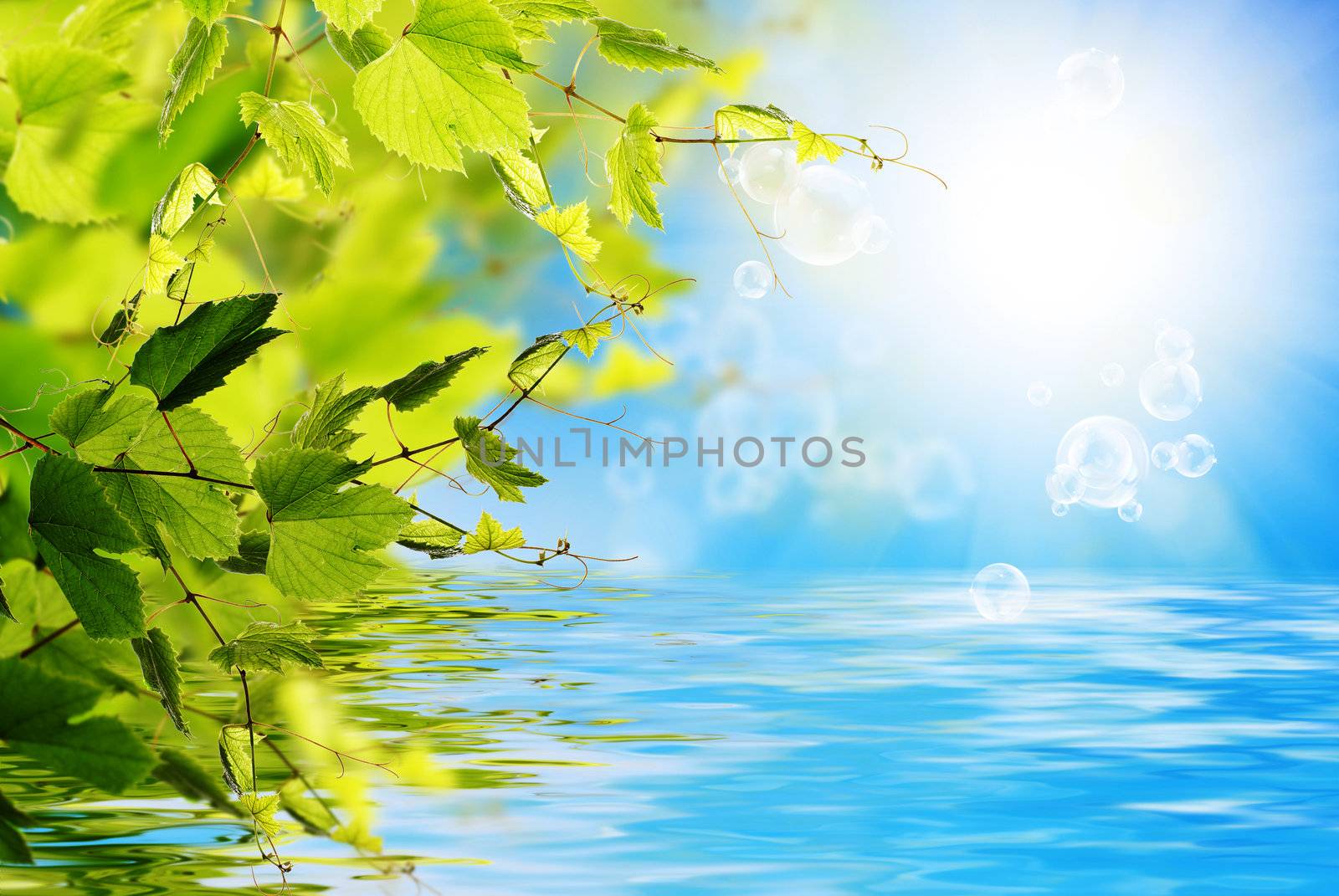 Nature solar summer background