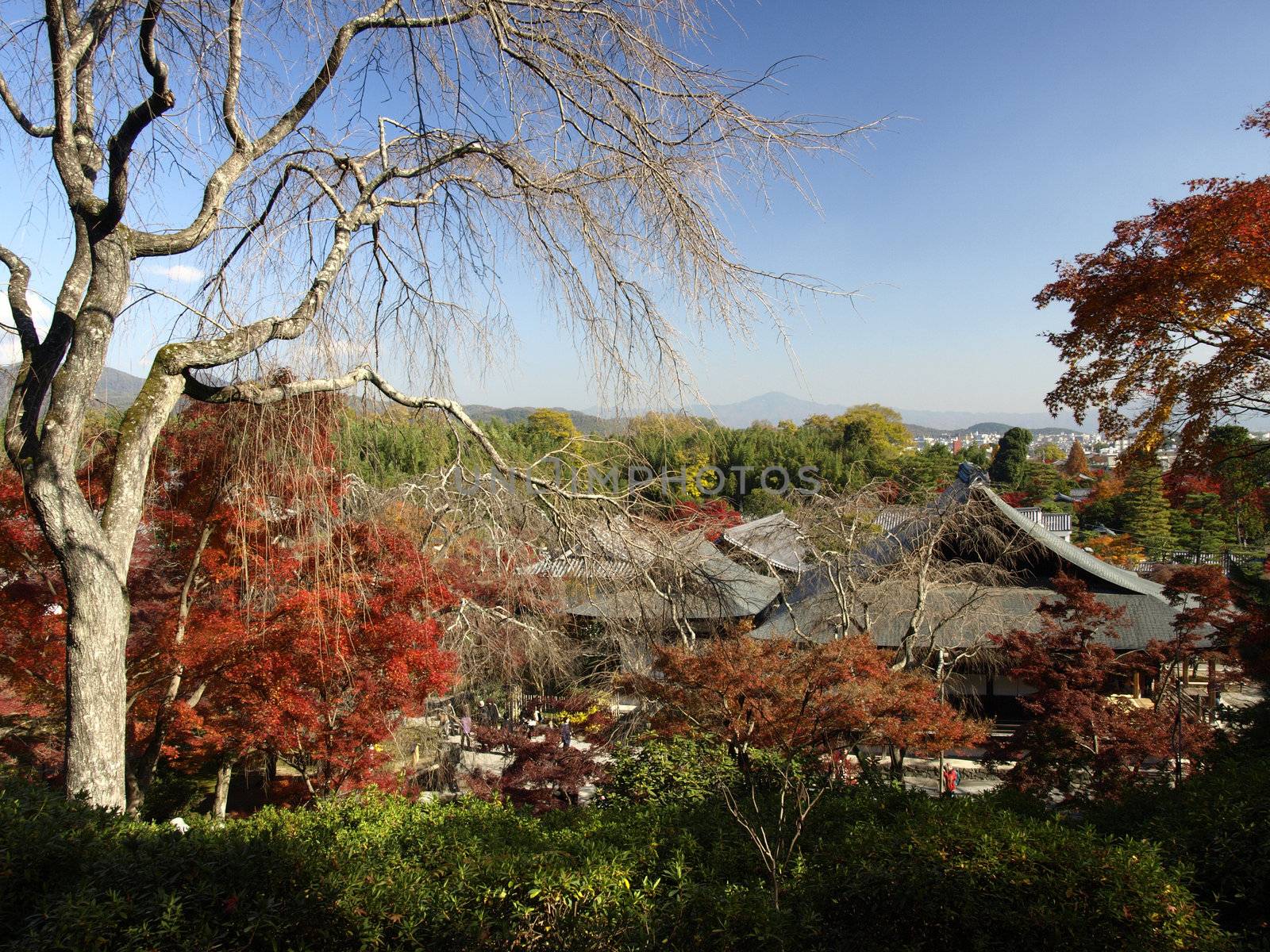 Tenryu-ji Temple in Arashiyama area, Kyoto, Japan