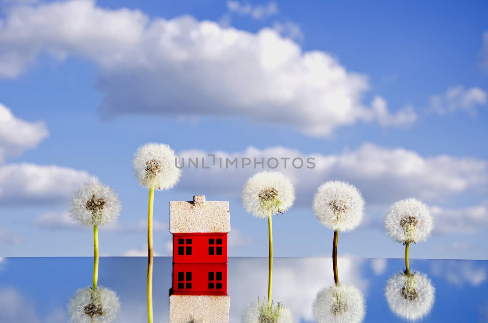 concept with house symbol on mirror and dandelion by alis_photo