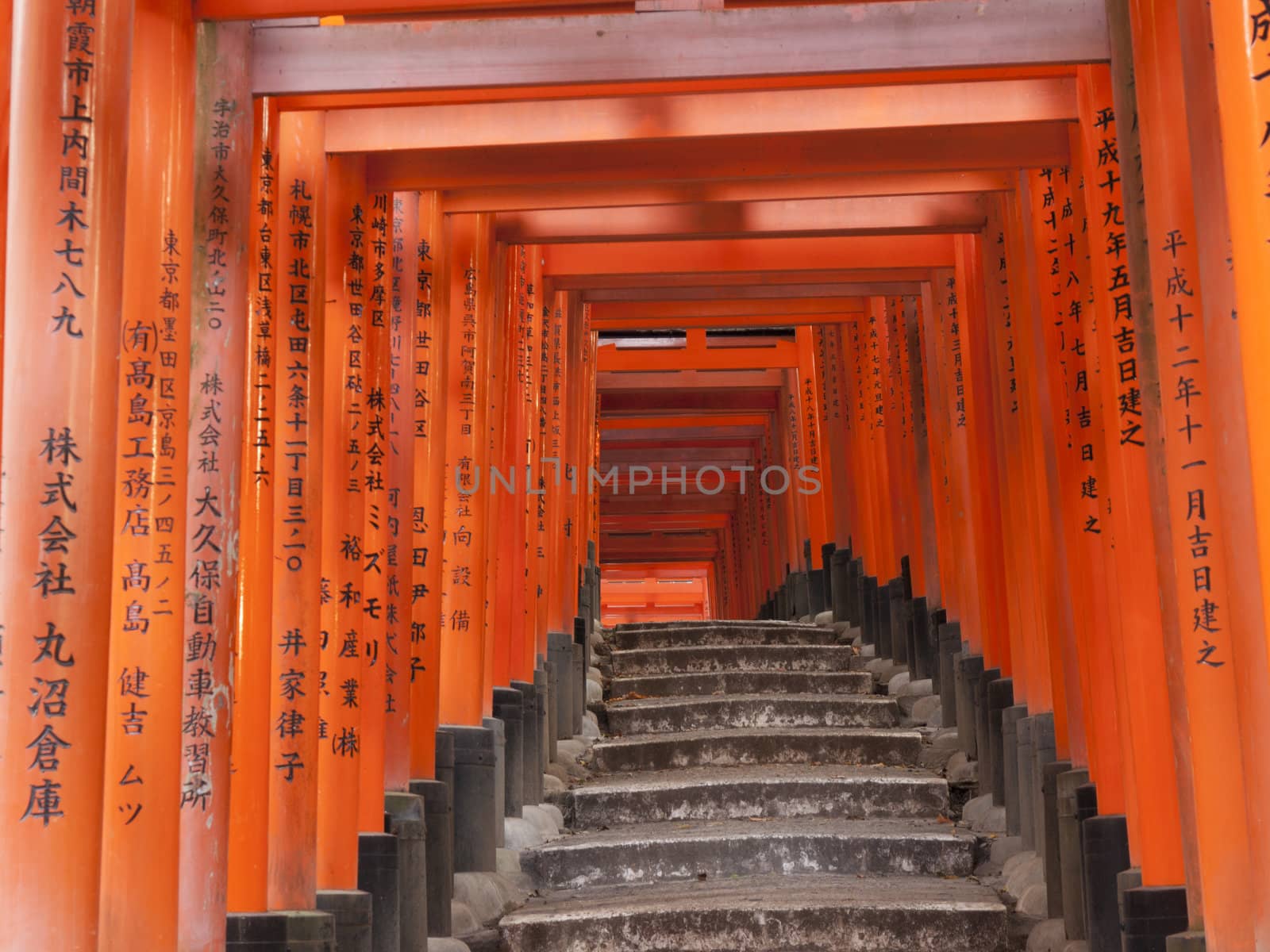 Pathway under tunnel of Torii gate at Fushimi Inari Shrine in Kyoto, Japan